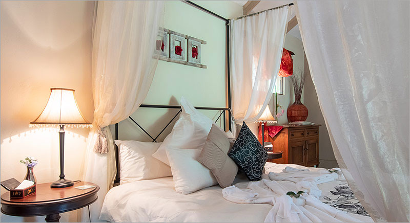 Sunbird Country Suite at the Feathered Nest