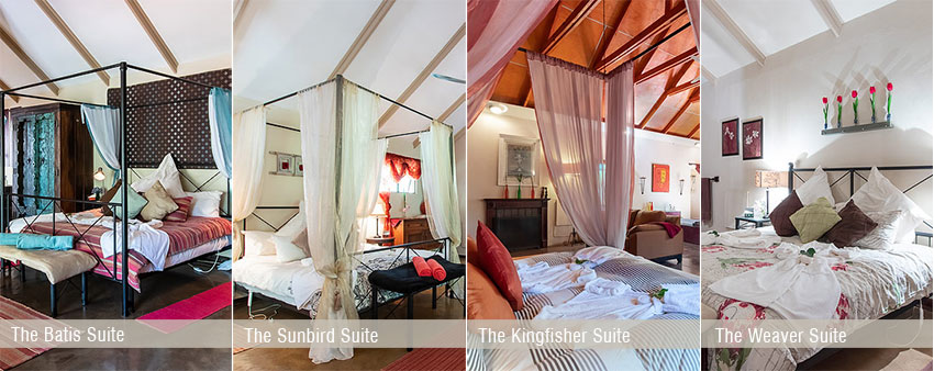 Dream Weekend in the Magalies